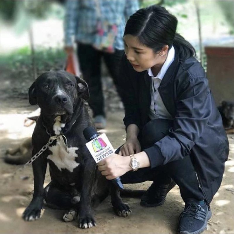 有一种人，喝白酒喝到胃出血，却不让小孩喝雪碧、奶茶