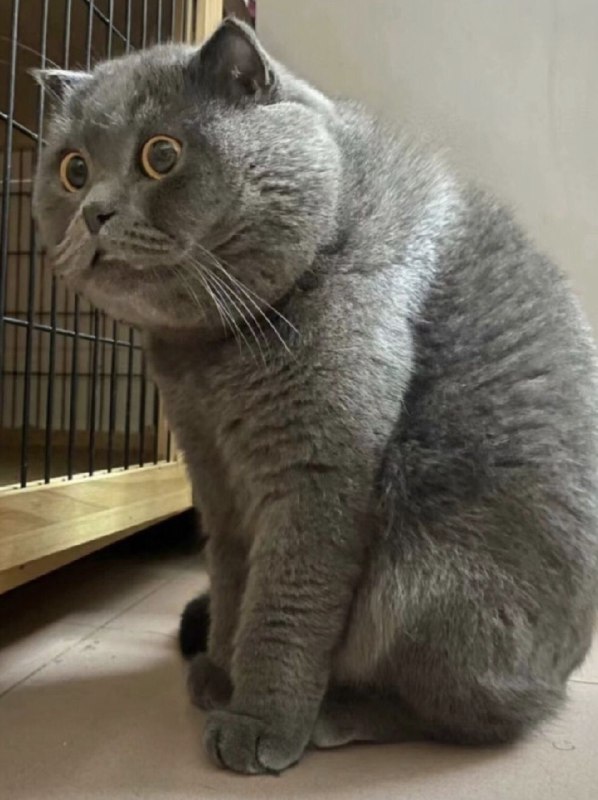 一直以为自己是寒门，结果寒门是指势力较低的世家，我不是寒门那我是个庶民吧，谁知道庶民是指有房有田的人，古代没有房子的叫做氓