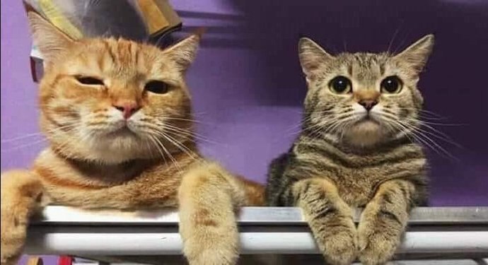 产品和开发，爱恨就在一瞬间🤦‍♂️   #工程师的日常