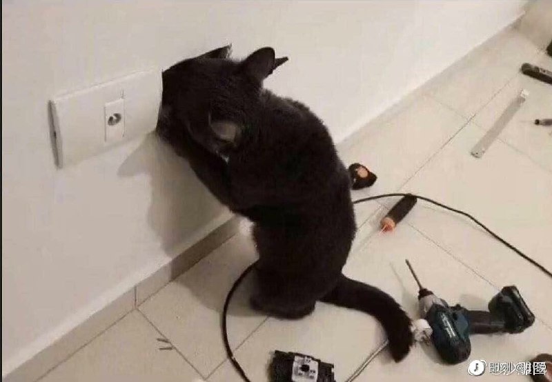 说了实习生不要碰生产库😂   #工程师的日常