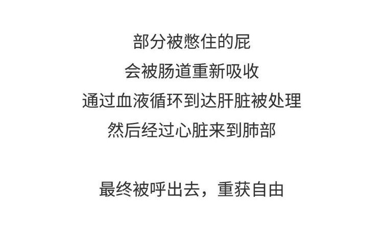 你憋住的屁都将成为你呼出去的气 #无用但有趣的冷知识