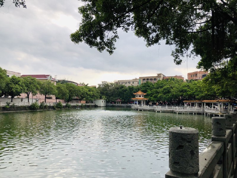 今日份反思个人行为